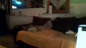 Pitterporz  30-09-2021 Recorded Video Topless